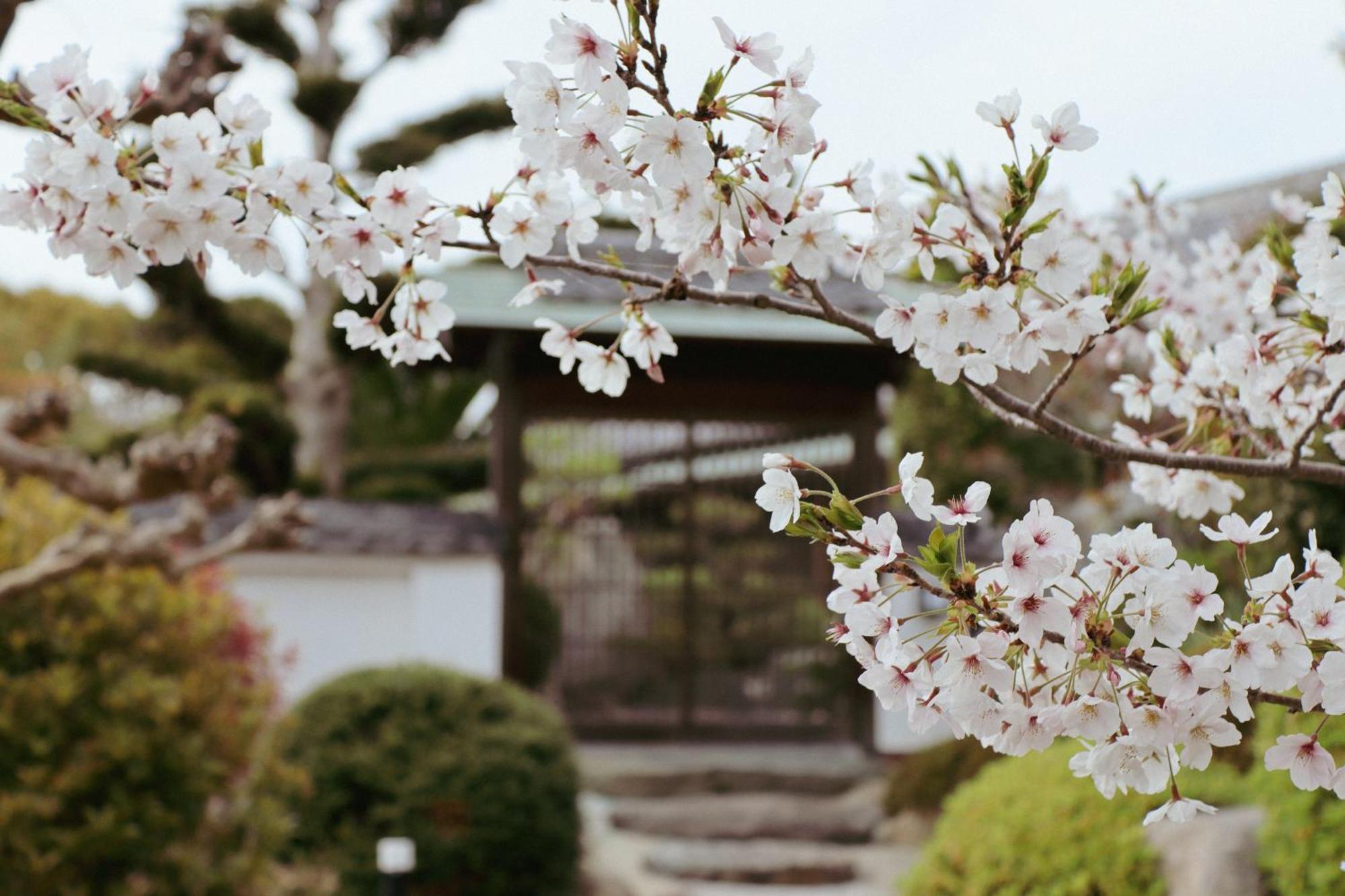 Villa Shinobi -忍- Hinase Exterior foto